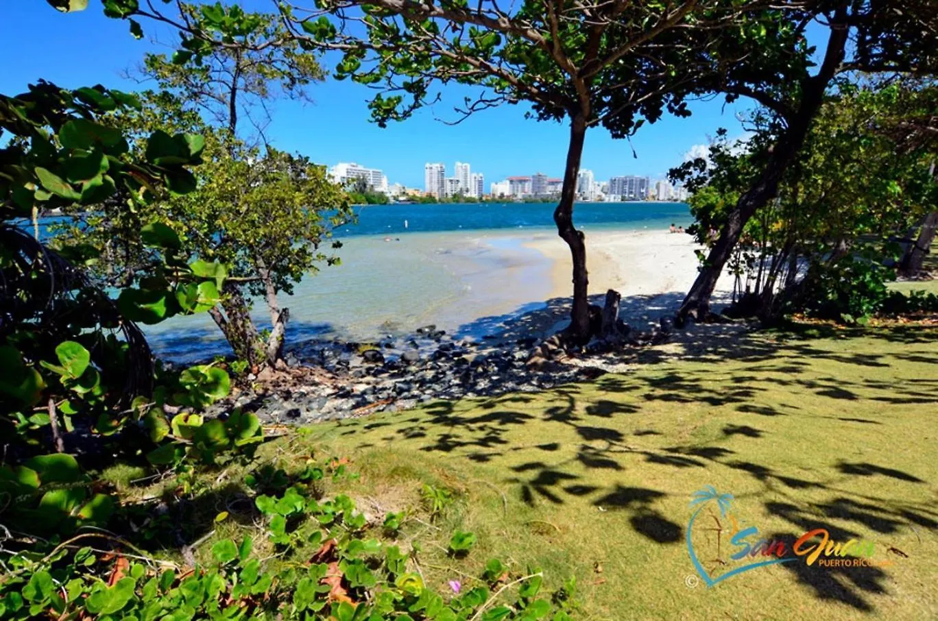 Hidden Gem In Miramar- Power Generator- Parking Apartment San Juan