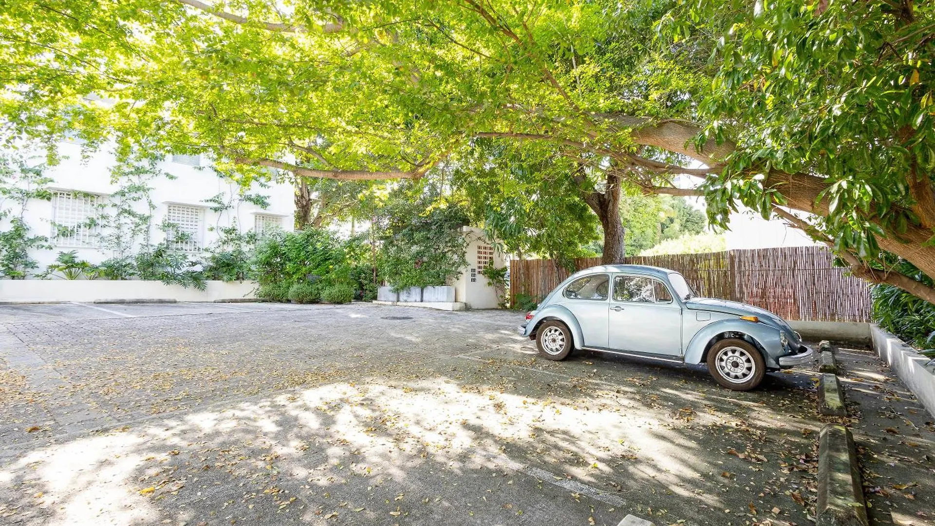 Hidden Gem In Miramar- Power Generator- Parking Apartment San Juan